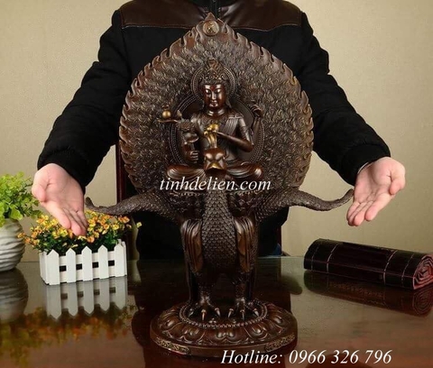 TÔN TƯỢNG KHỔNG TƯỚC MINH VƯƠNG