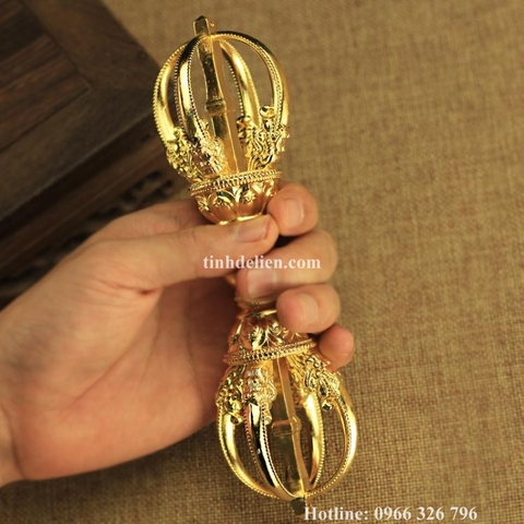 CHÀY KIM CƯƠNG ĐỒNG 5 CẠNH