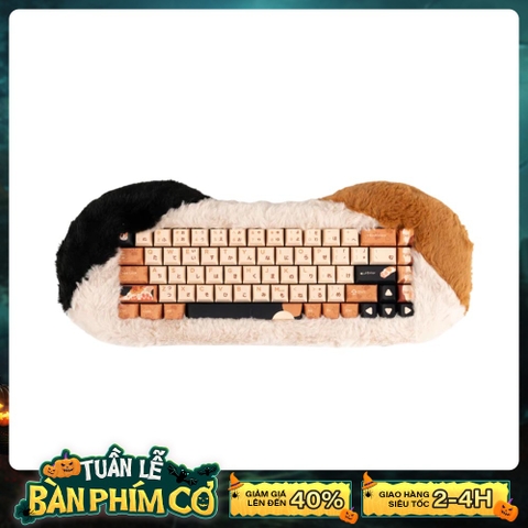 Bàn phím cơ không dây Dry Studio PetBrick 65 Calico RGB Hotswap (Dry Studio Sw)