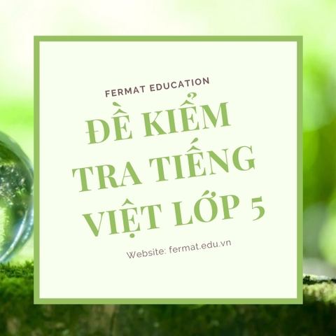 ĐỀ KIỂM TRA TIẾNG VIỆT 5