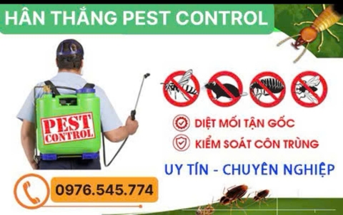 Dịch vụ Diệt Gián tại Nhà Giá rẻ Hiệu quả tuyệt đối