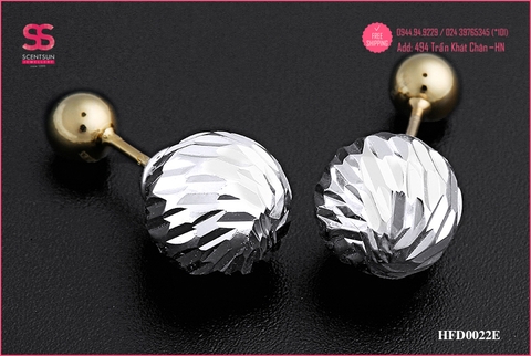 Khuyên tai Dior Bạc 925 HFD0022E
