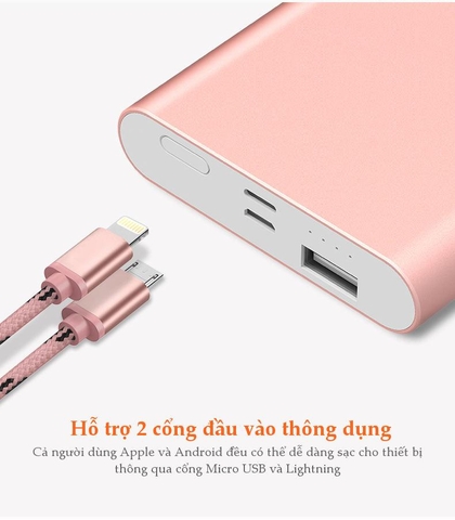 Sạc dự phòng Polymer 10000mAh PL10