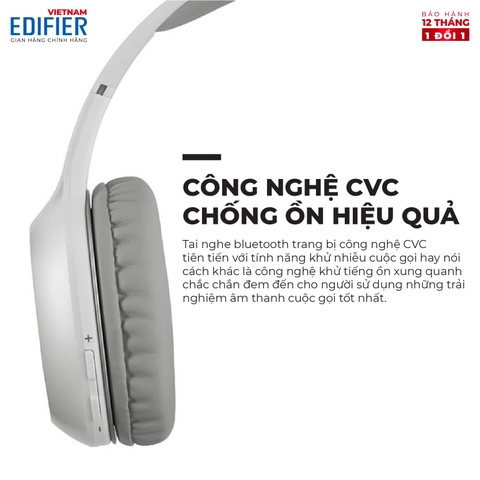 Tai nghe chụp tai Bluetooth W800BT Plus