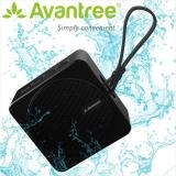 Loa không giây chống nước AVANTREE BTSP-950 (A3042 - Màu đen) Black
