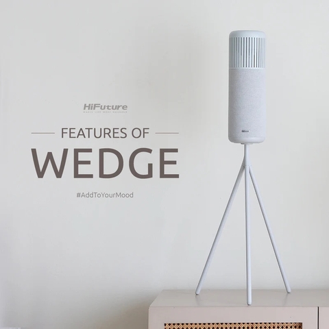 Loa không dây di động HiFuture Wedge