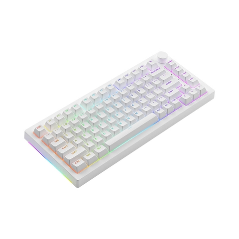 BÀN PHÍM CƠ AKKO 5075B PLUS WHITE (AKKO SWITCH V3 – CREAM BLUE PRO)