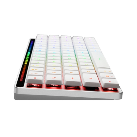 BÀN PHÍM GAMING ASUS ROG FALCHION RX LP BLUE (90MP03EC-BKUA10)
