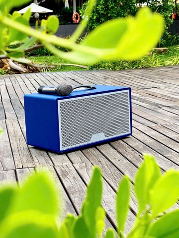 Loa Kéo Xách Tay CAVS LUNO28