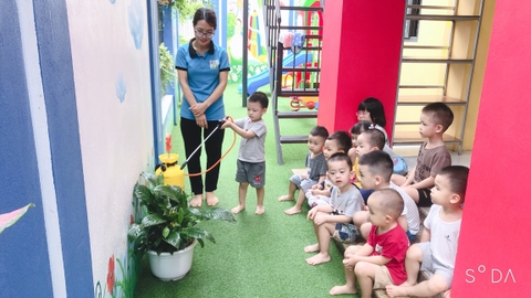 Tháng 12, Tuần 5, LQVH Thơ: Đàn kiến nó đi