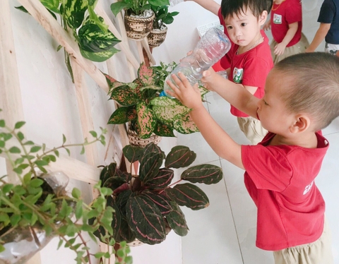 Hiểu đúng về Montessori - Ý nghĩa của những bài thực hành cuộc sống