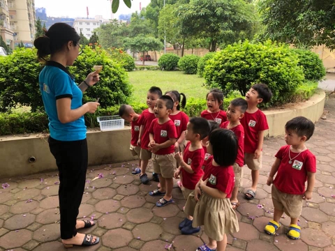 Tháng 4, Tuần 1 LQCC Ôn các chữ cái trong bảng chữ cái tiếng Việt