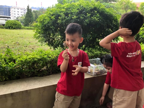 Tháng 11, Tuần 1: LQVT Nhận biết khối cầu, khối trụ