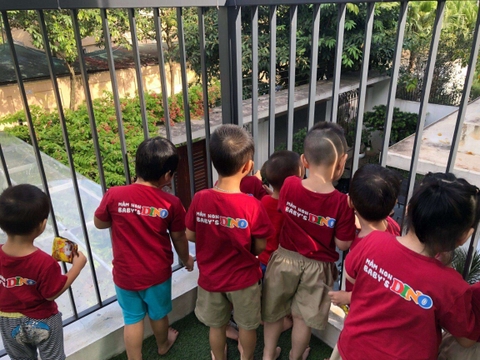 Tháng 3, Tuần 3 PTNN - Truyện: Cá và chim.