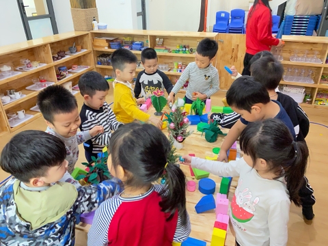 Tháng 3, Tuần 3, LQVH - Truyện: Xe đạp con trên đường phố