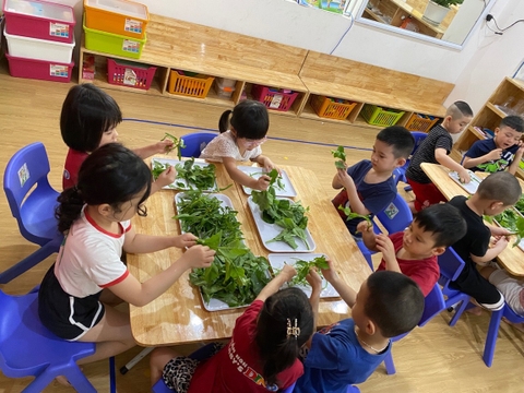 Tháng 10, Tuần 4: LQVH Thơ: Phải là hai tay