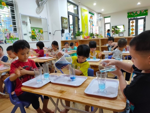 Tháng 11, Tuần 1: LQVH  Thơ: Con trâu