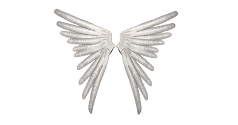 Đôi cánh thiên thần - Anpic