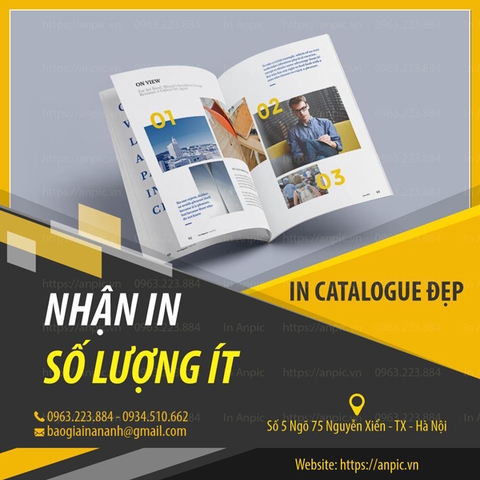 In Lấy Ngay 50 Cuốn Catalogue Trong Ngày Với Giá Sốc Chỉ 1.399.000 vnđ