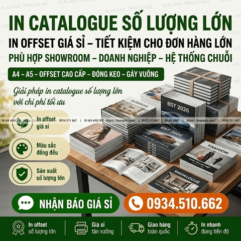 In Catalogue Số Lượng Lớn - In Offset Giá Sỉ, Tiết Kiệm Cho Đơn Hàng Lớn