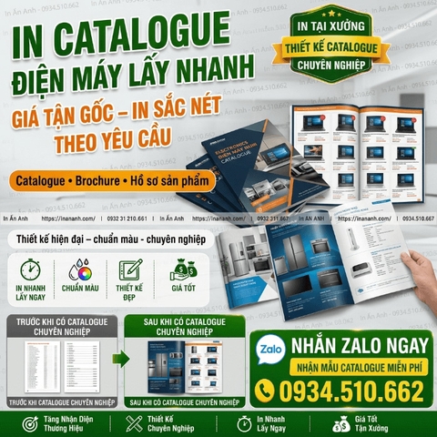 In Catalogue Điện Máy Lấy Nhanh – Giá Tận Gốc, In Sắc Nét Theo Yêu Cầu