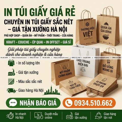 In Túi Giấy Giá Rẻ — Chuyên In Túi Giấy Sắc Nét, Giá Tận Xưởng Hà Nội