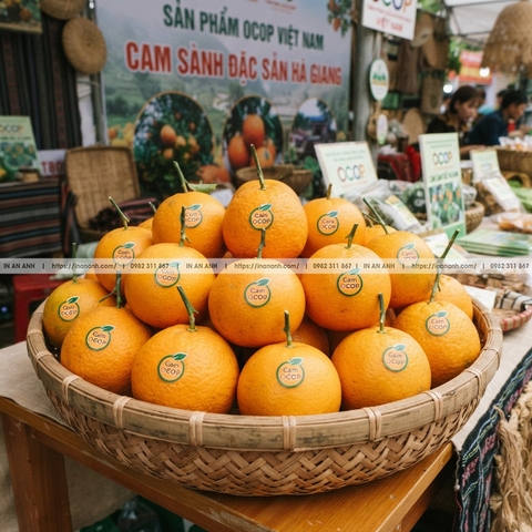 In Tem Dán Trái Cây Mini KT 15mm Cho OCOP