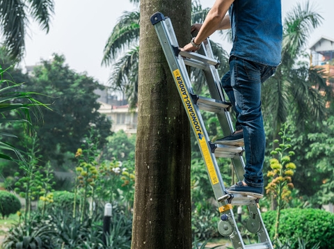 Thang nhôm Joongang Hàn quốc tại Việt Nam