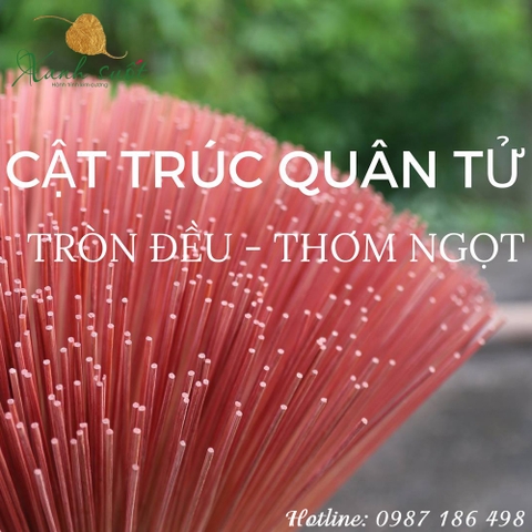 Trúc Quân tử dùng để làm gì