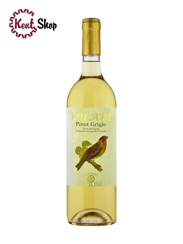 Rượu Vang Ý Trắng Paolini Volare Pinot Grigio