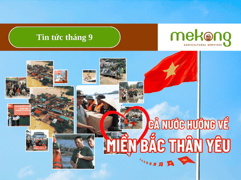 Mekong quyên góp ủng hộ bà con miền Bắc vùng bão lũ