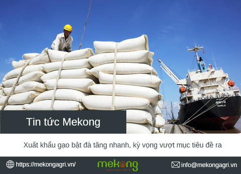 CHỈ TRONG 10 THÁNG, NGÀNH GẠO THỰC HIỆN HƠN 90% SẢN LƯỢNG XUẤT KHẨU ĐỀ RA