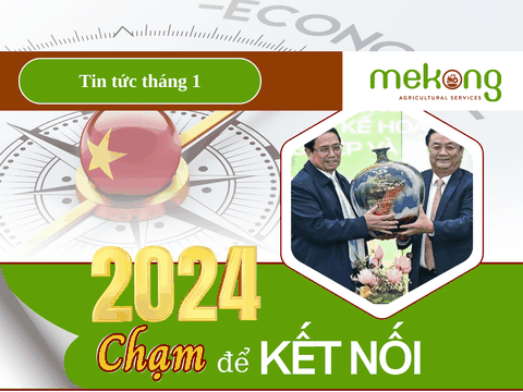 Năm Rồng 2024, nông nghiệp kết nối, chủ động thích ứng