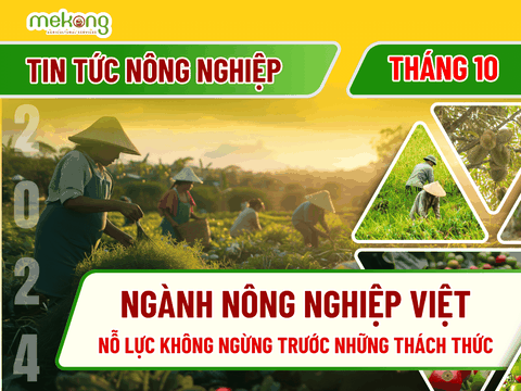 Ngành nông nghiệp Việt Nam nỗ lực không ngừng trước những thách thức