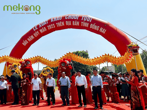 Mekong vinh dự tham gia lễ xuất khẩu chuối tươi đầu năm Quý Mão 2023 của tỉnh Đồng Nai