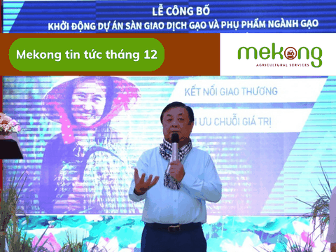 Ra mắt Sàn giao dịch thương mại điện tử Gạo và phụ phẩm ngành Gạo