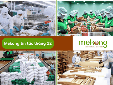 Xuất khẩu nông sản năm 2022 hoàn thành sớm một số chỉ tiêu