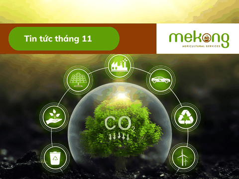 Thị trường tín chỉ carbon ở Việt Nam đón những tín hiệu đáng mừng