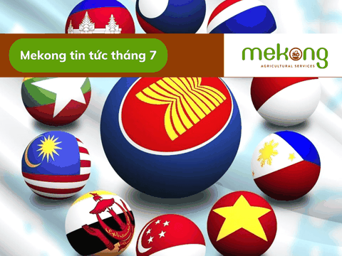 Những dấu ấn nổi bật của Việt Nam trong 28 năm gia nhập ASEAN