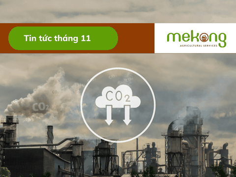 Giảm phát thải ngành phân bón, hướng đến kinh tế tuần hoàn, nông nghiệp bền vững
