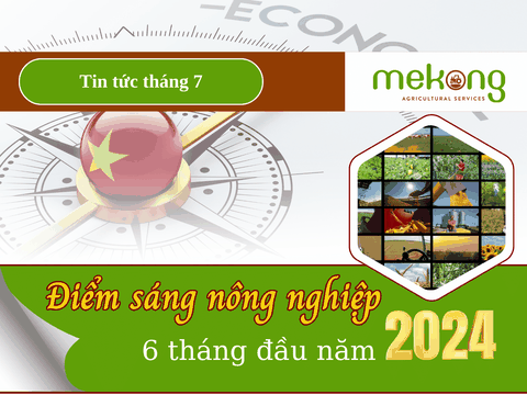 Điểm sáng nông nghiệp Việt Nam 6 tháng đầu năm 2024