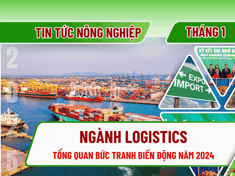 Toàn cảnh ngành logistics thế giới năm 2024