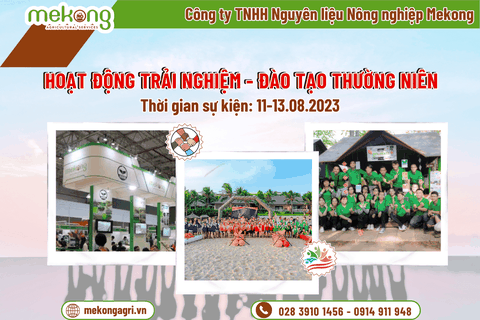 📣[Thông báo] HOẠT ĐỘNG TRẢI NGHIỆM - ĐÀO TẠO THƯỜNG NIÊN 2023