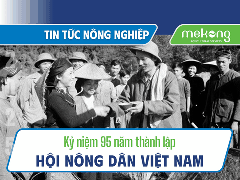 Kỷ niệm 95 năm thành lập Hội Nông dân Việt Nam (14/10/1930 - 14/10/2025)