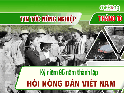Kỷ niệm 95 năm thành lập Hội Nông dân Việt Nam (14/10/1930 - 14/10/2025)