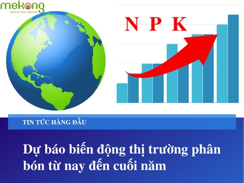 THỊ TRƯỜNG PHÂN BÓN LIÊN TỤC BIẾN ĐỘNG