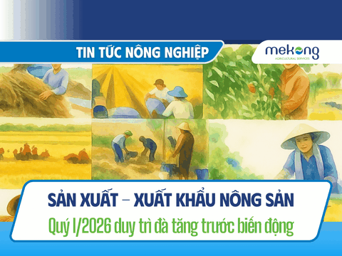 Sản xuất - xuất khẩu nông sản quý I/2026 duy trì đà tăng trưởng trước biến động