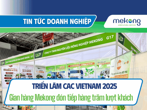 Mekong tham gia triển lãm quốc tế CAC Vietnam 2025 thành công tốt đẹp