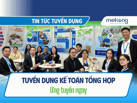 Tuyển dụng vị trí kế toán tổng hợp