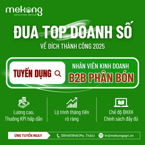 Mekong tuyển dụng tháng 1 năm 2025 - Vị trí SALES EXECUTIVE